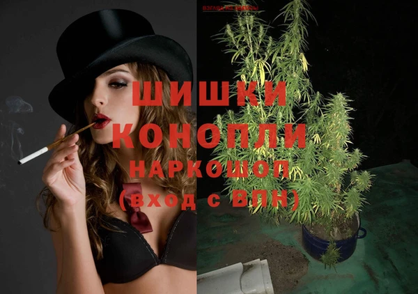 эйфоретик Вяземский