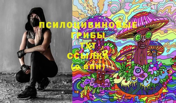 сатива Вязьма